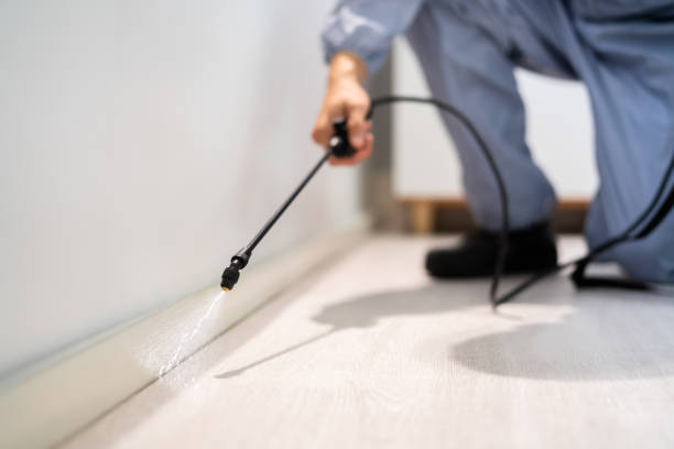 Bed Bug Pre-Treatment Preparation Assessment in Shingletown