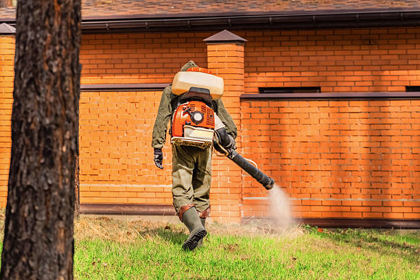 Bed Bug Clearance Verification and Documentation in Shingletown